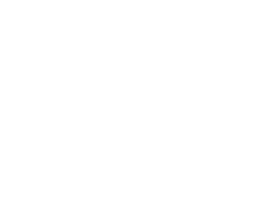 Narvik logo